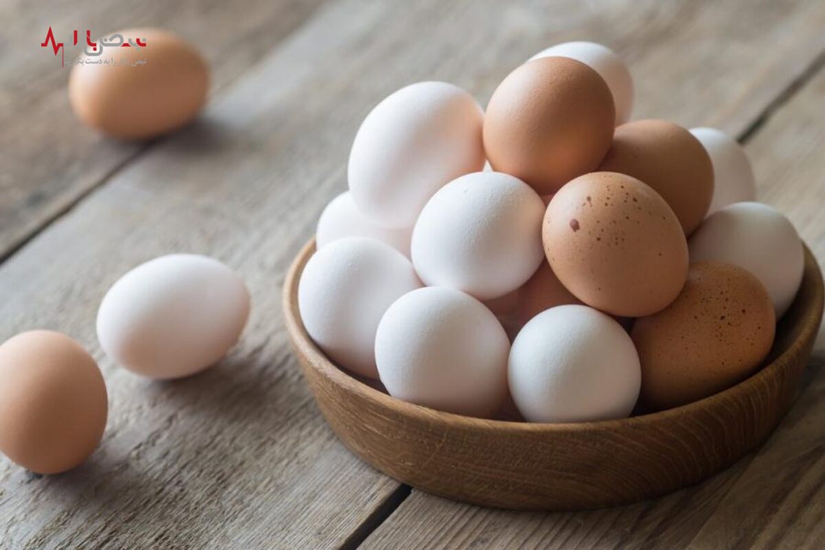 قیمت تخم مرغ امروز ۱۵ شهریور ۱۴۰۲