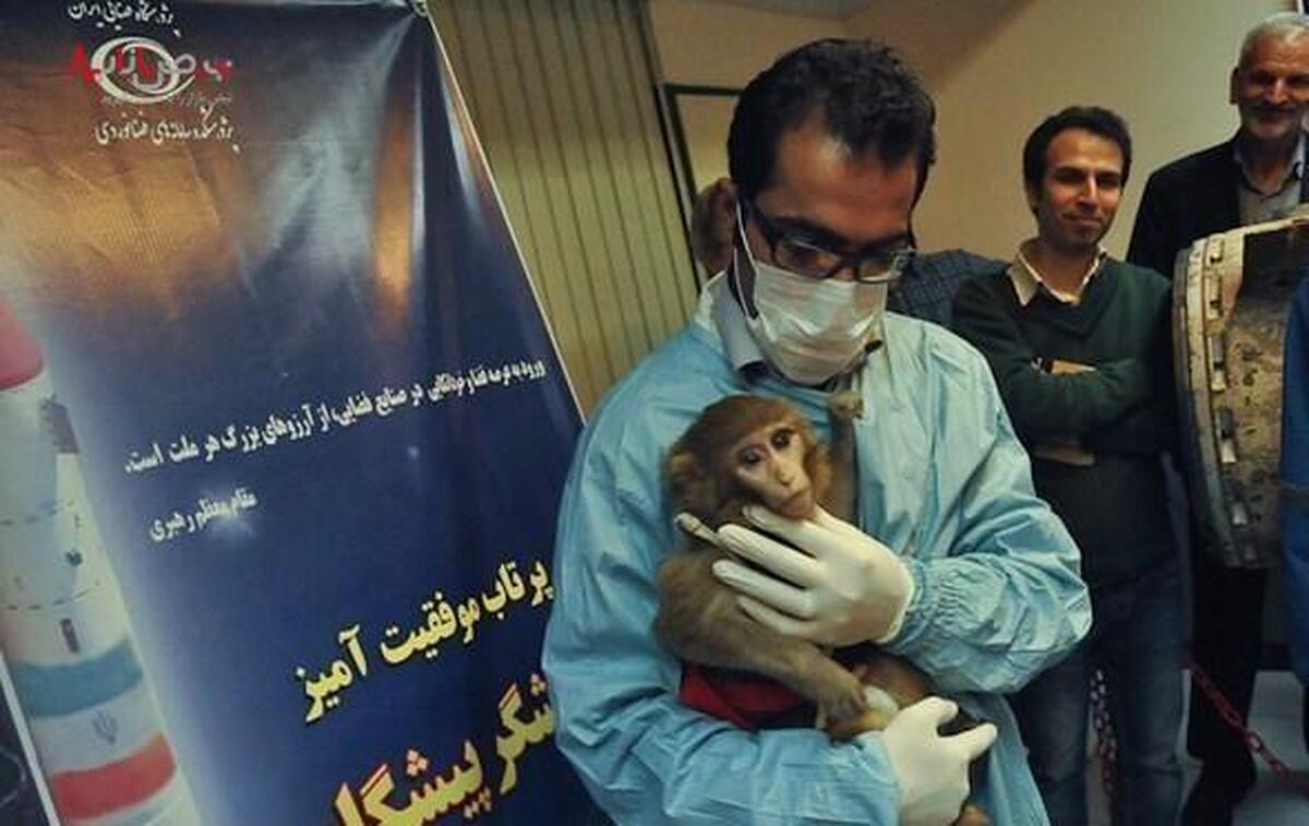 بررسی آخرین وضعیت میمون‌های فضانورد ایرانی بعد از 12 سال پرتاب به فضا