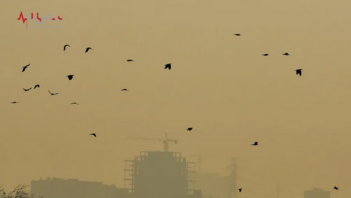 وضعیت آلودگی هوای تهران و تعطیلی مدارس/ هوای پایتخت سمی شد!