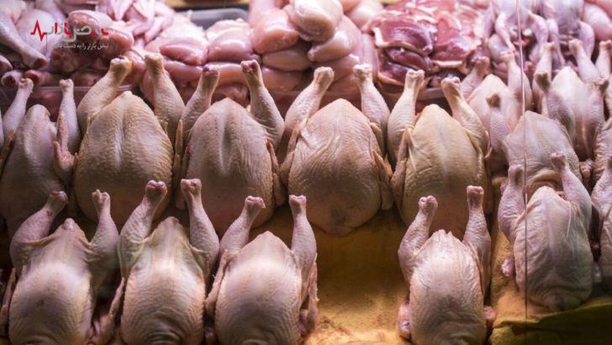 قیمت گوشت مرغ در ۱۷ فروردین ۱۴۰۳ با ثبات نسبی در بازار
