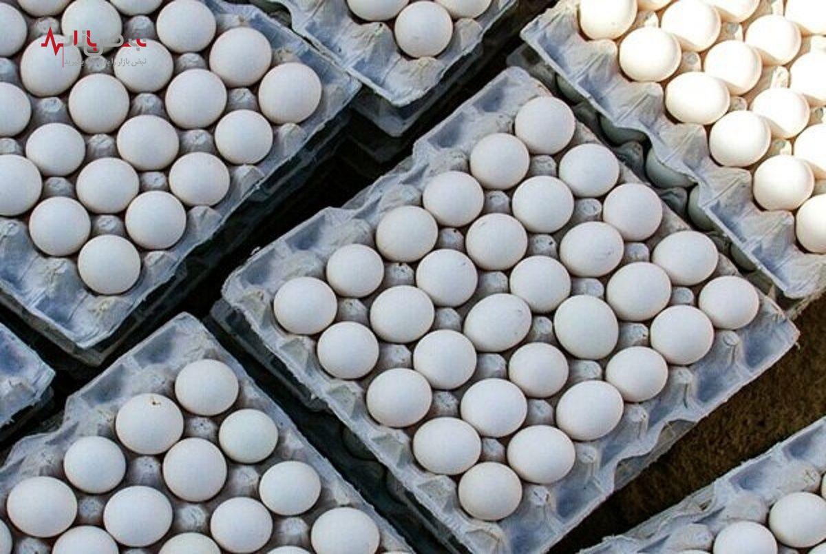 قیمت تخم مرغ در ۱۷ فروردین ۱۴۰۳