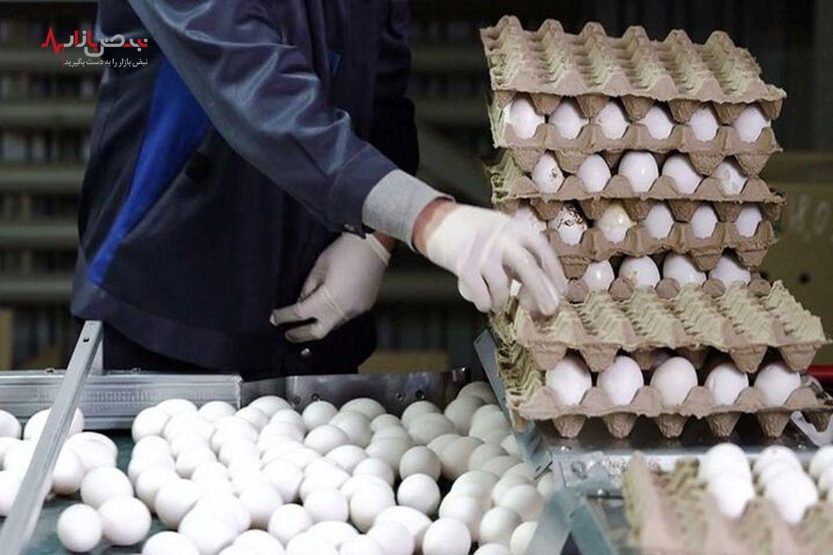 قیمت تخم مرغ در بازار امروز ۲۵ فروردین کاهش یافت