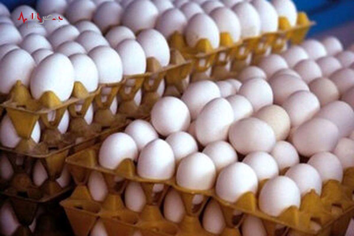 نوسان قیمت تخم مرغ در گرداب تقاضا