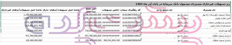 سحر زال پور یکی از ابروام گیرندگان بانک سرمایه