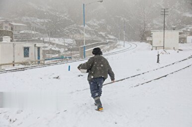 نمایی از شکوه سوادکوه با بارش برف زمستانی