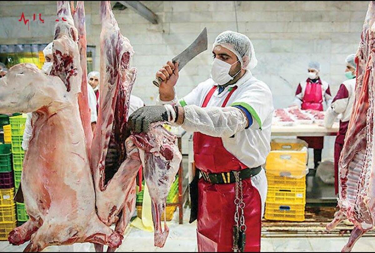 قیمت گوشت گوسفندی امروز شنبه ۱ اردیبهشت ۱۴۰۳