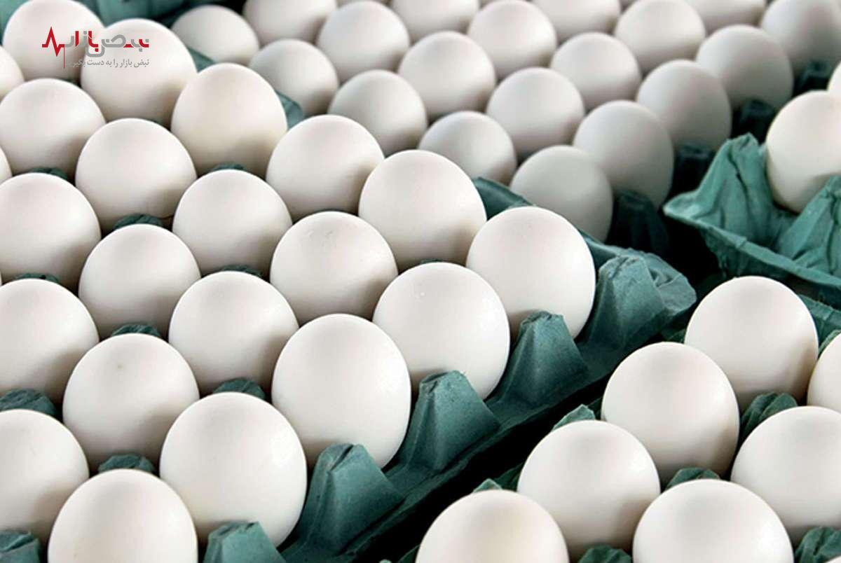 تولید روزانه ۳۷۰۰ تن تخم مرغ در کشور