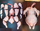قیمت گوشت مرغ در آستانه انفجار