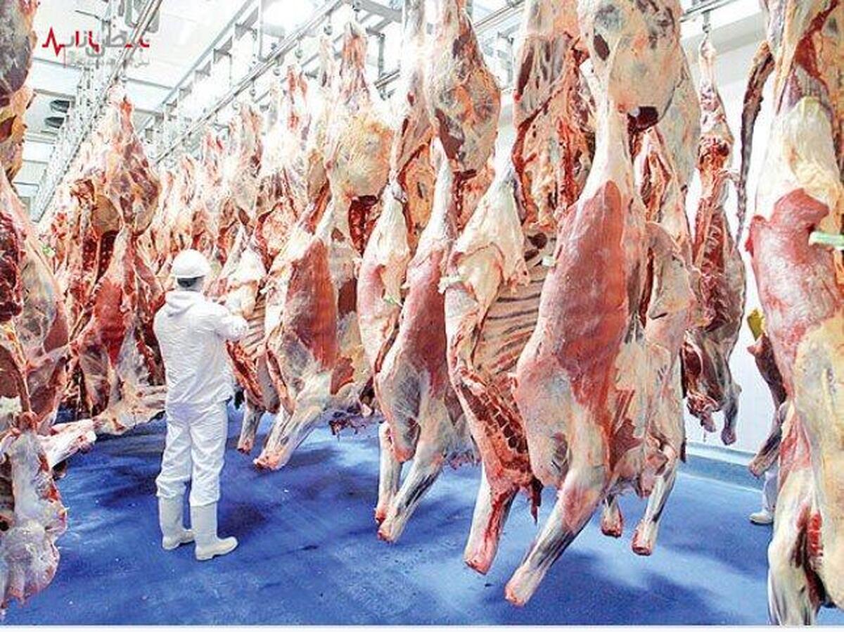 قیمت گوشت قرمز امروز ۲۴ تیر ۱۴۰۳+جزئیات