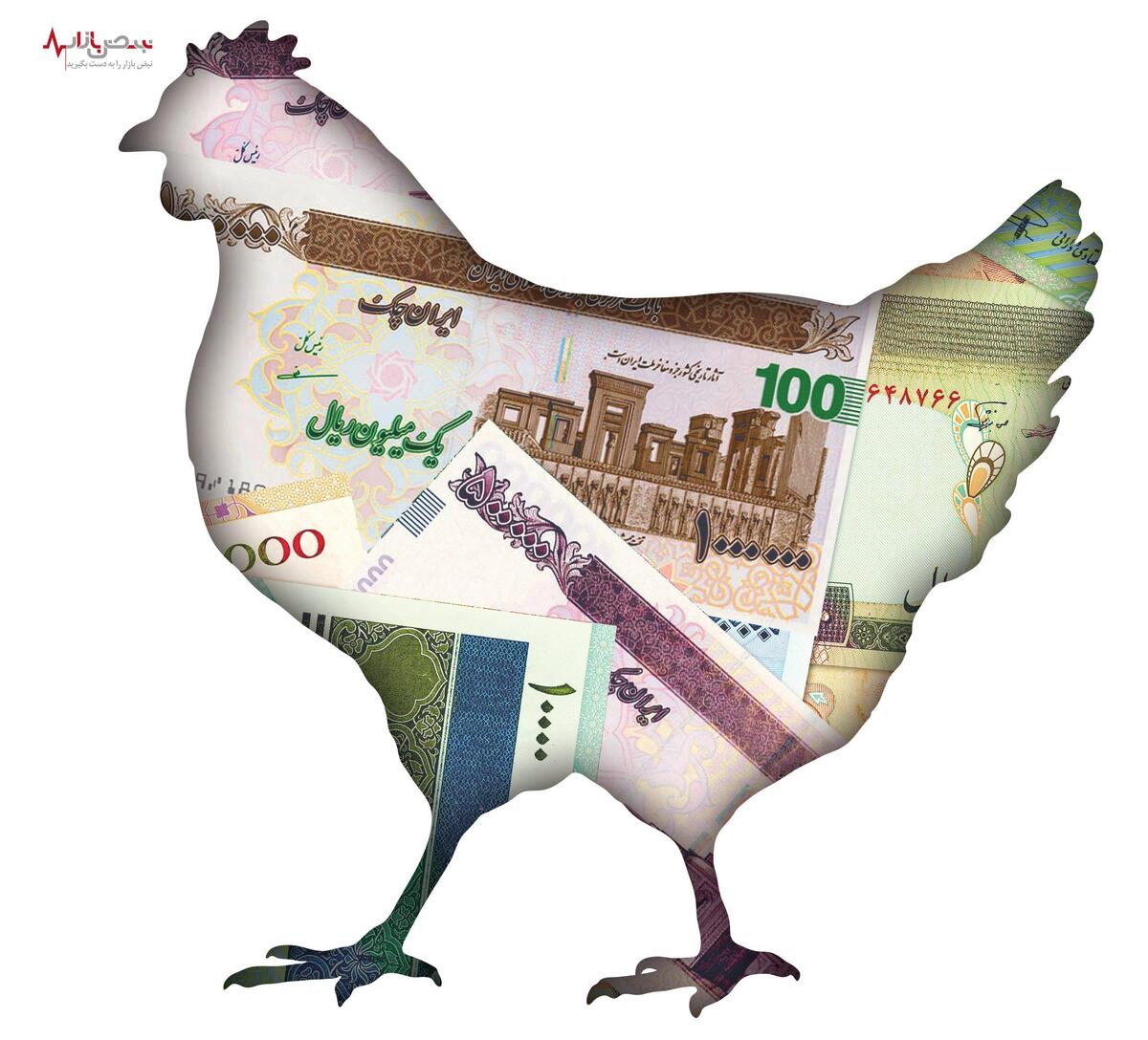 مرغ از سفره ها پر کشید | قیمت روز مرغ ۲۴ تیر ۱۴۰۳