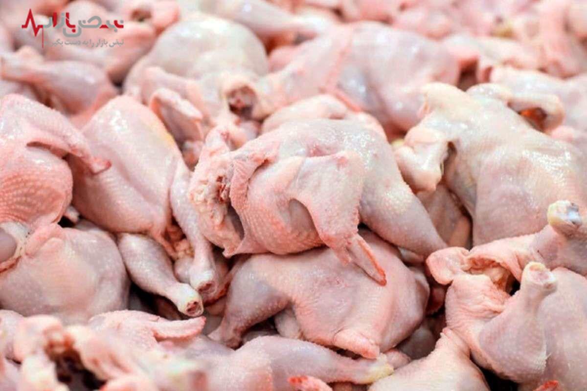 قیمت گوشت مرغ در تاریخ ۱۳ مرداد ۱۴۰۳ اعلام شد + جدول
