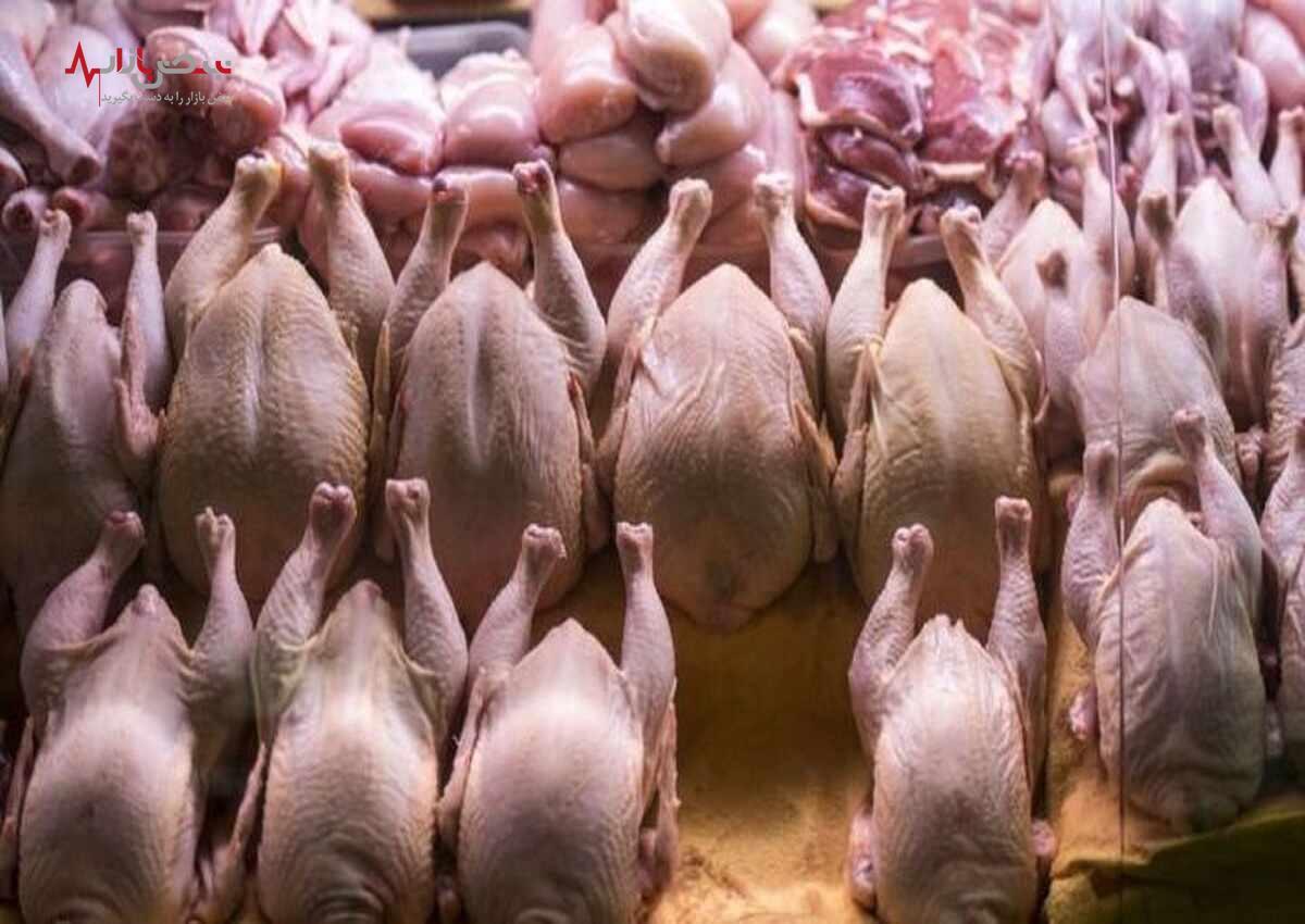 جدیدترین قیمت مرغ در بازار امروز چهاردهم مردادماه + جدول