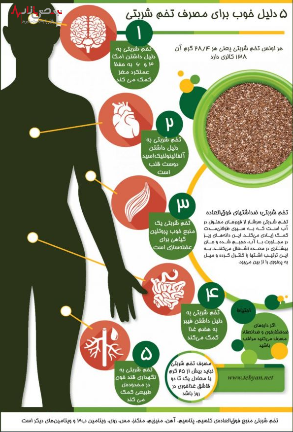 تخم شربتی و مزایای غیرقابل باور آن که باید بخوانید