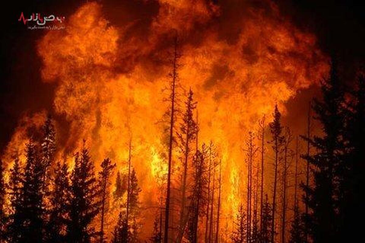 فوری/ آتش سوزی بزرگ در جنگل های زاگرس
