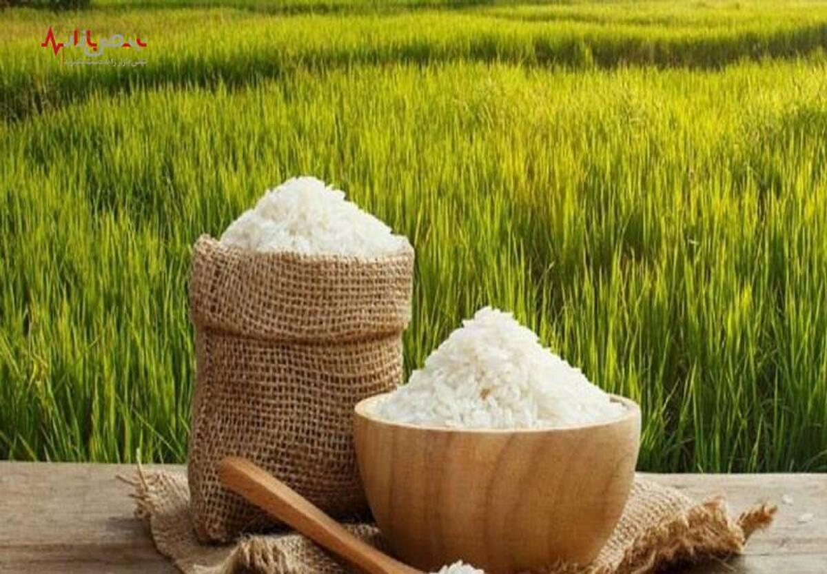 قیمت برنج در بازار گران می شود؟