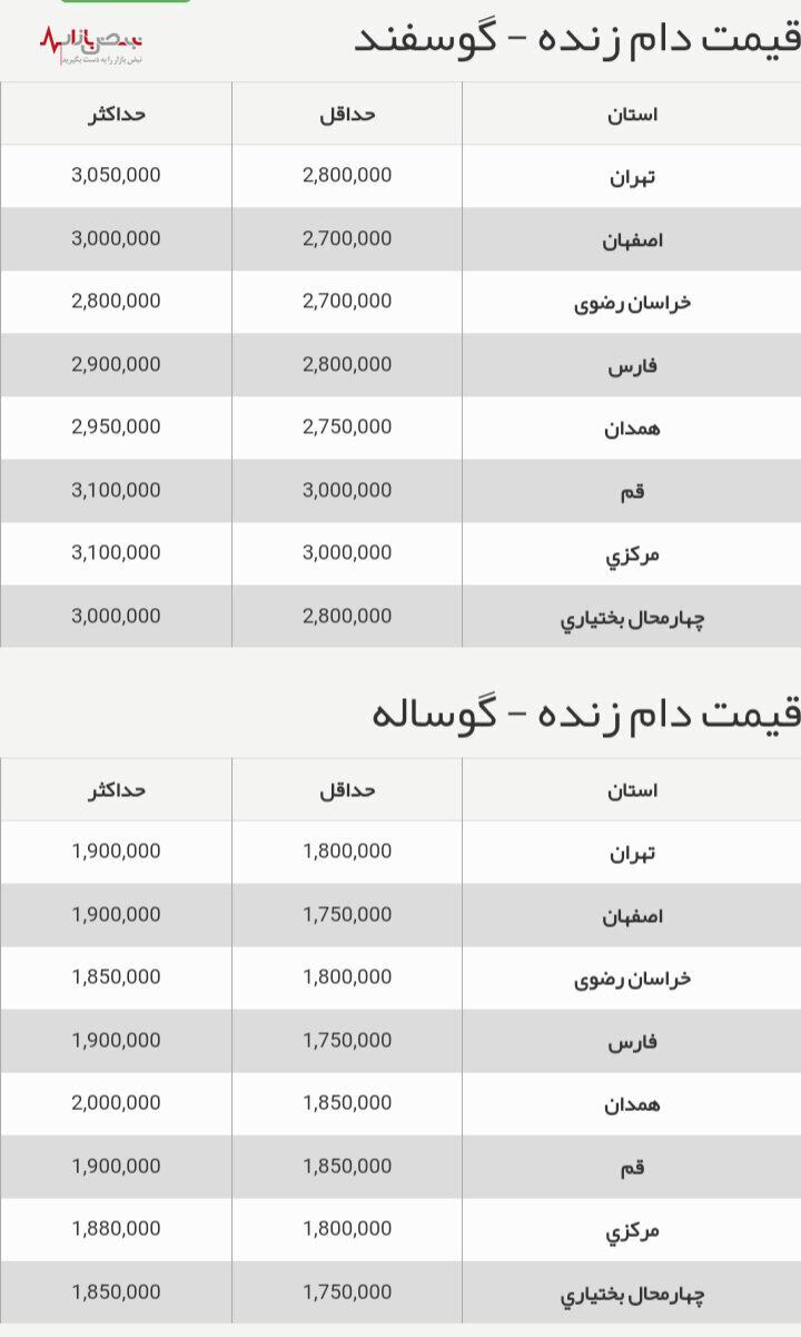 قیمت گوشت کاهش یافت