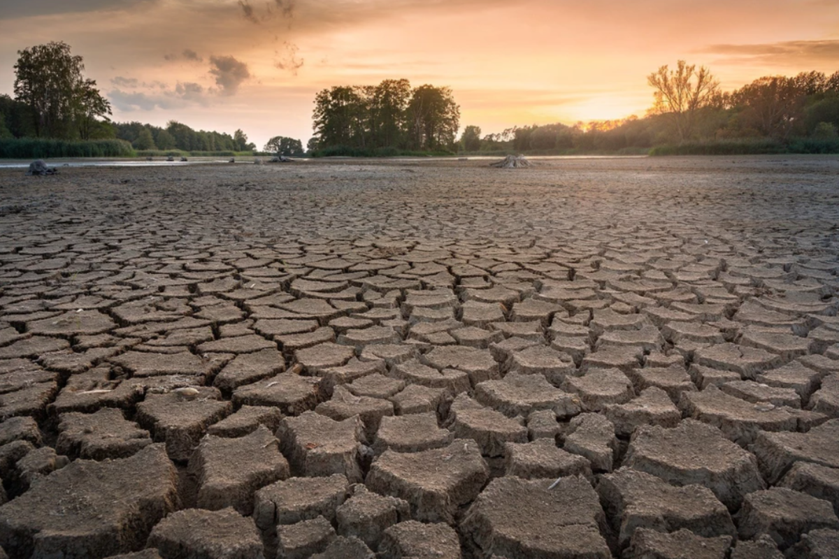 تابستان جهنمی در راه است