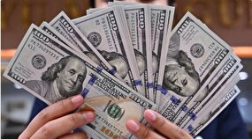 ویدئو / وزر شعار