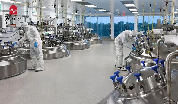 رمزگشایی از خانه‌تکانی ۷ همتی «برکت» در مقابل استراتژی تثبیت «تیپیکو»