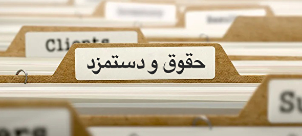 غول‌ها در برابر چابک‌ها؛ رمزگشایی از لیست حقوق و دستمزد ۶ شرکت بیمه+اینفوگرافیک