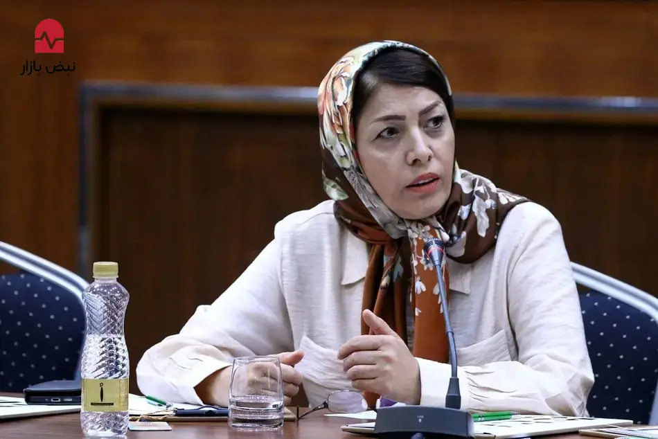 حمل‌ونقل جاده‌ای در بن‌بست لجستیکی/ چه کسی مسئول واردات کامیون است؟