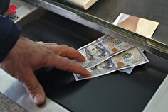 از افزایش قیمت نان و گوشت تا جهش دلار / قیمت دلار تا کجا بالا خواهد رفت؟