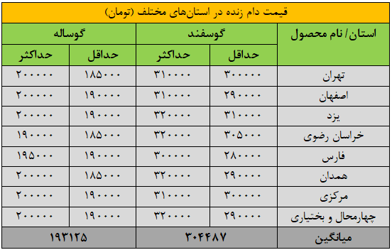 قیمت جدید دام زنده ۱۳ اردیبهشت ۱۴۰۴ / گوساله ارزان شد + جدول