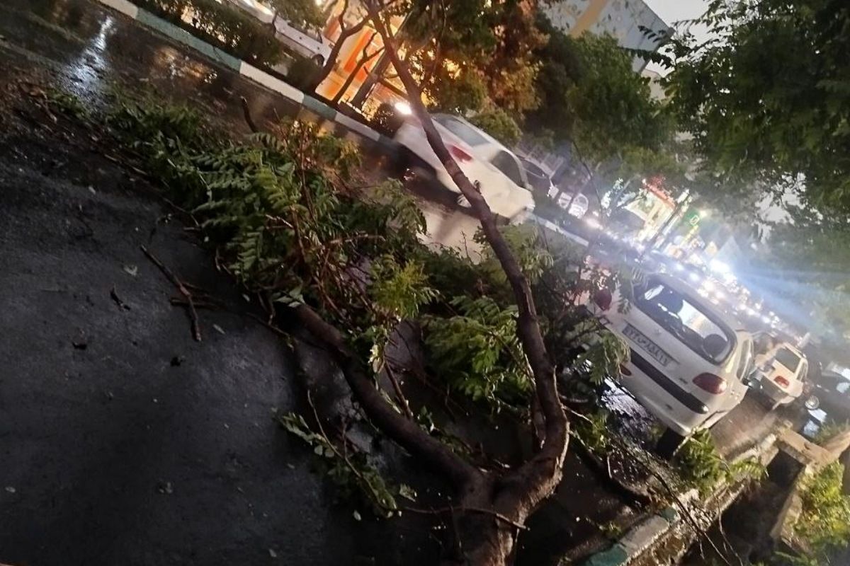 مصدومیت ۷ نفر در طوفان دیشب تهران