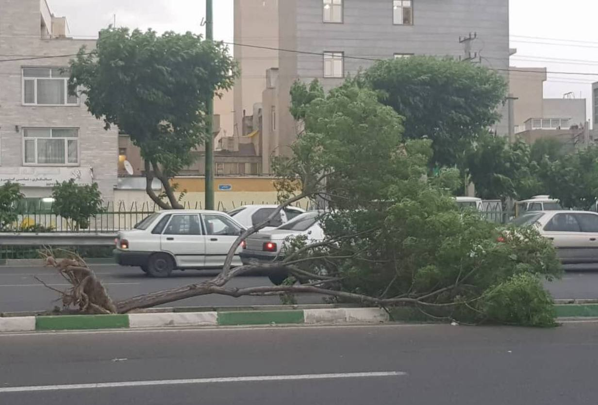 تهرانی‌ها در خانه بمانند/ آماده‌باش اورژانس برای طوفان شبانه پایتخت