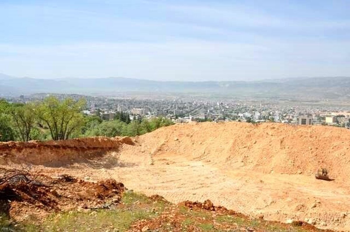 ماجرای قطع درختان پارک جنگلی یاسوج چه بود؟ / واکنش دادستان