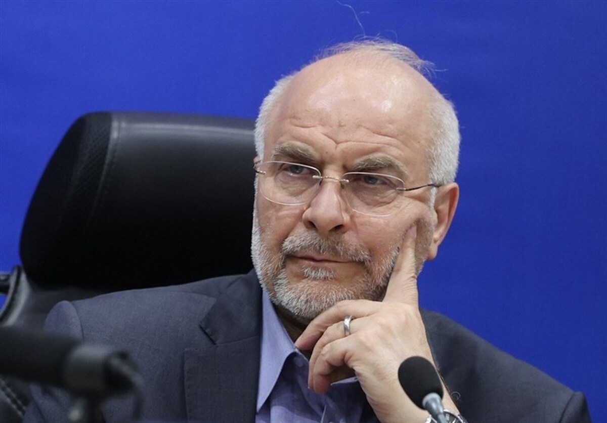 قالیباف: دولت حق قیمت‌گذاری ندارد