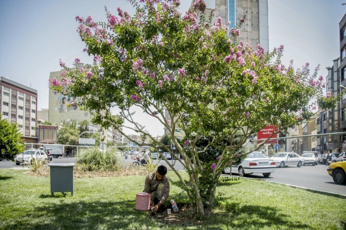 هشدار جدی به پایتخت نشینان/ هوای تهران ۷ درجه گرم‌تر می‌شود