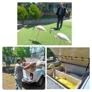 کشف عجیب از یک منزل شخصی در کرج + عکس