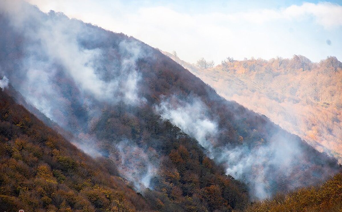 جزئیات آتش‌سوزی گسترده در جنگل گلستان+ فیلم