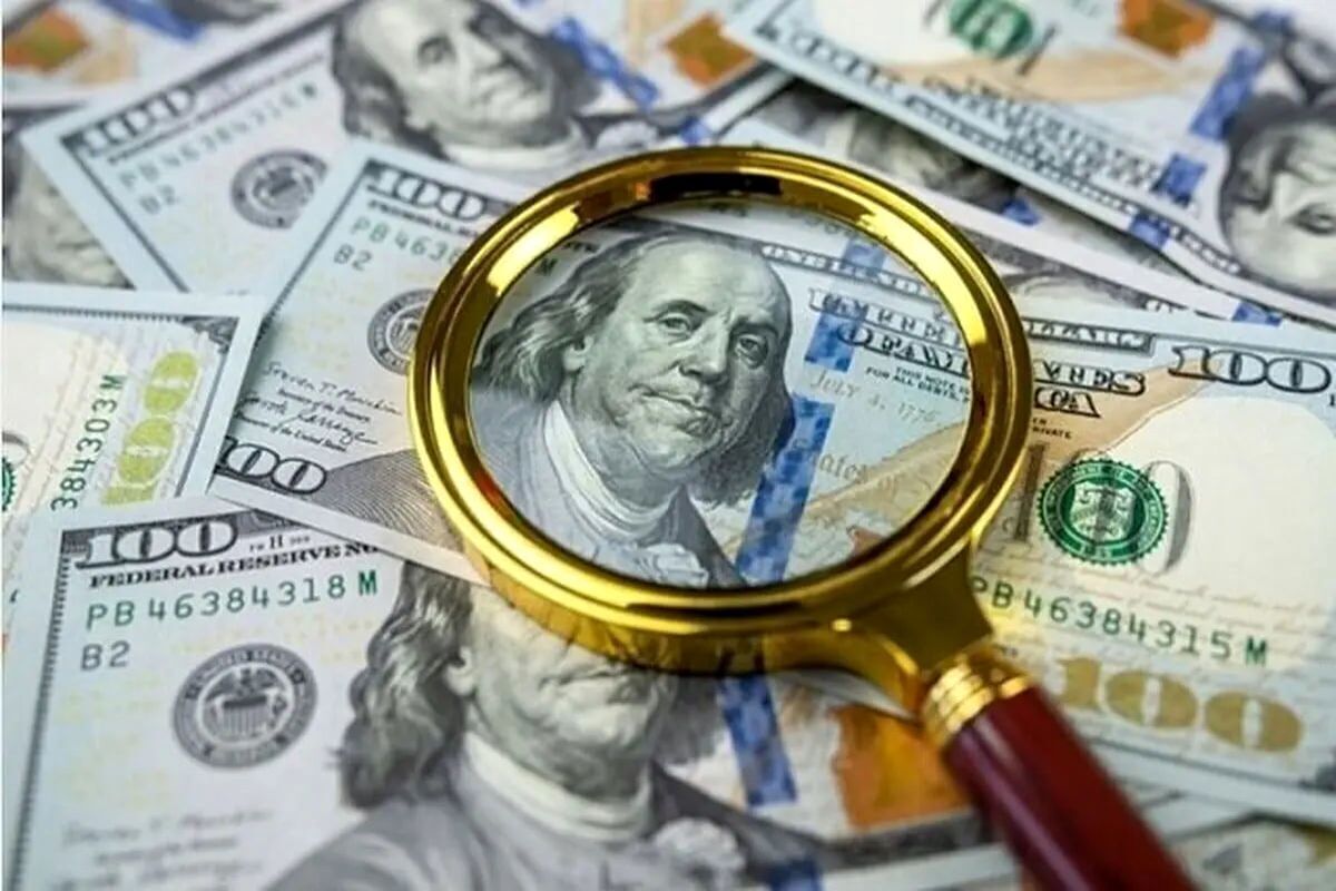 قطع گاز پتروشیمی‌ها چه اثری بر قیمت دلار دارد؟