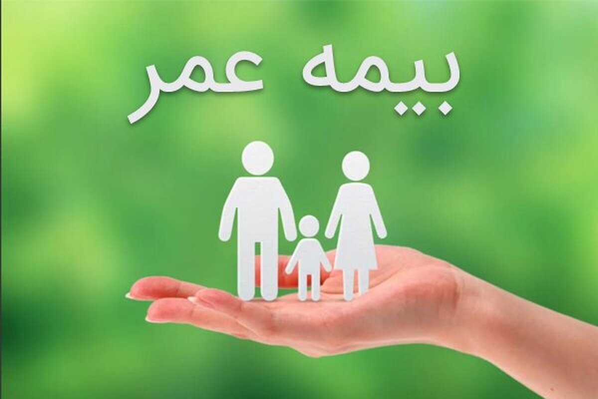 نقش بیمه البرز در حمایت از کسب و کارهای کوچک و متوسط چیست؟