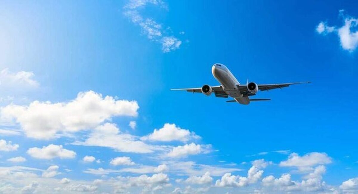 چند نفر با هواپیما به زیارت اربعین می‌روند؟