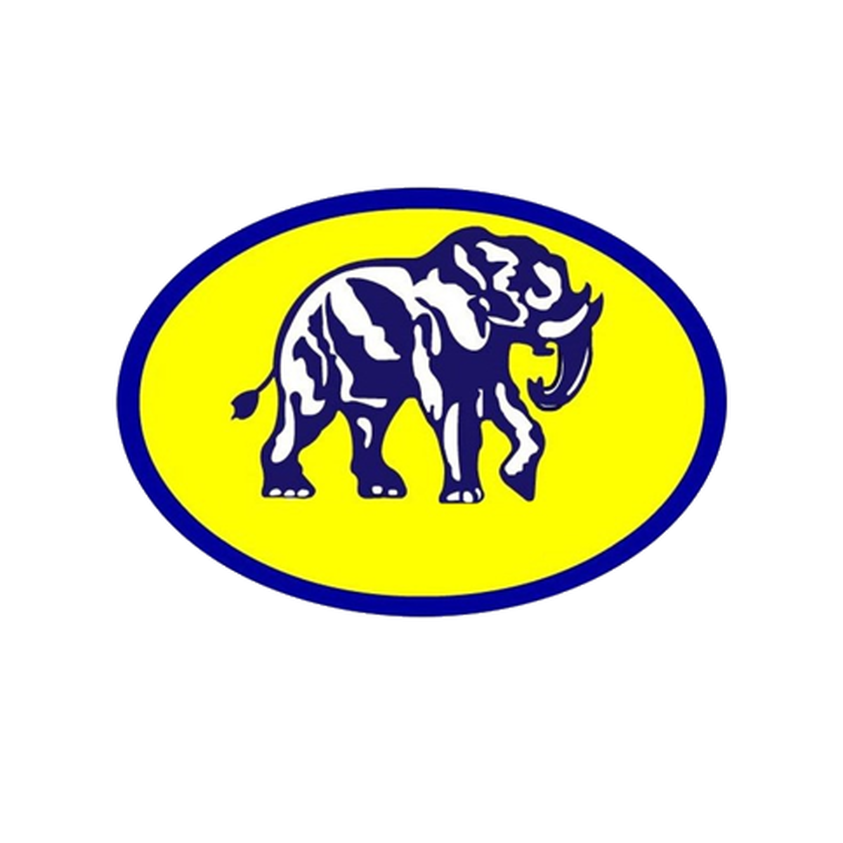 رشد استراتژیک برند «کفش ملی» در بازار کفش ایران