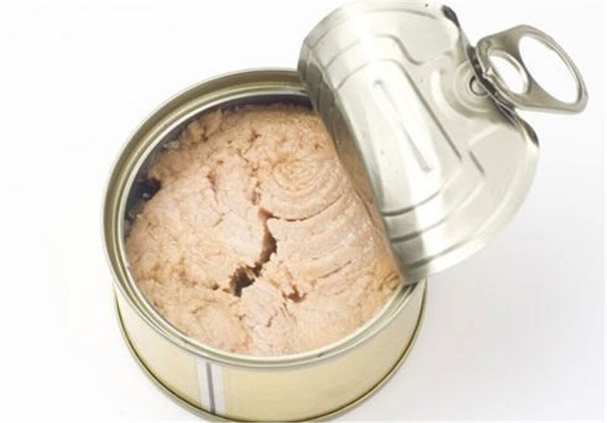 عامل گرانی تن ماهی مشخص شد