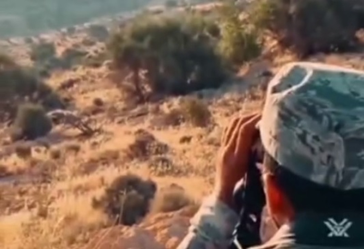 پتروشیمی هنگام، همراه محیط‌بانان