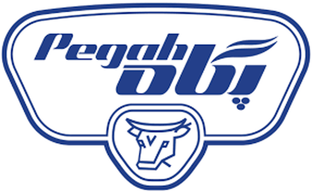 اما و اگر‌های پگاه / چگونه شرکت پگاه با مدیران غیرمرتبط به کار خود ادامه می‌دهد؟