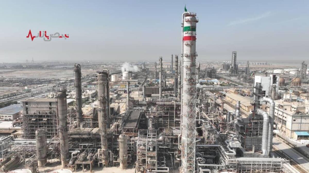 پتروشیمی بوعلی از سقوط سود تا مدرک تحصیلی مدیران