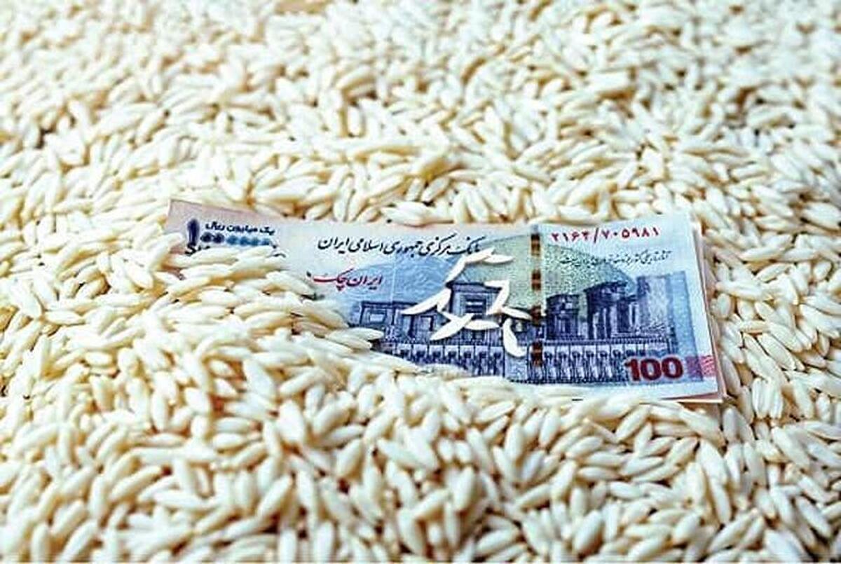 چرا ارز ترجیحی برنج حذف شد؟
