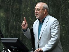 استیضاح وزیر جهادکشاورزی در اولویت مجلس/هیئت‌رئیسه در اجرای آیین‌نامه استیضاح وزرا قانون‌مدار نیست