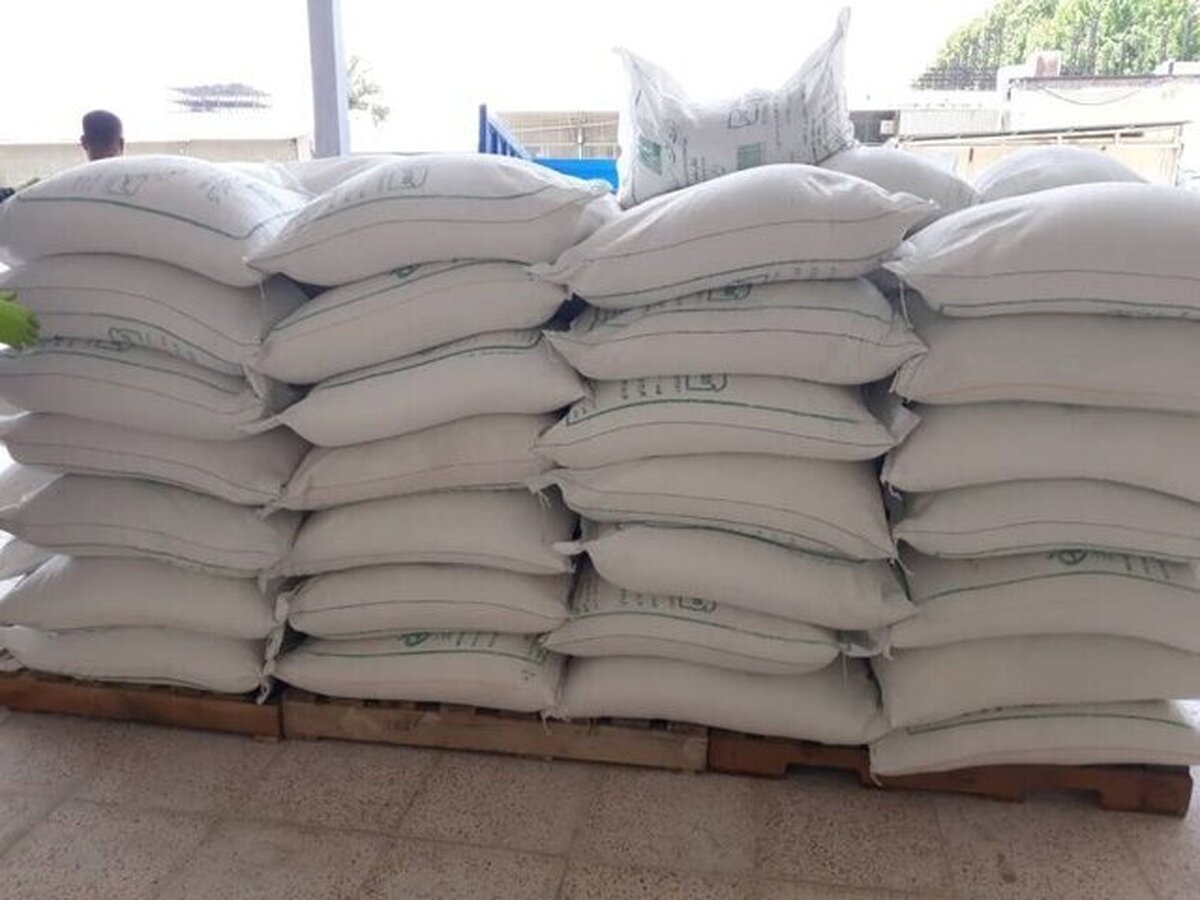 زمان واردات شکر مشخص شد