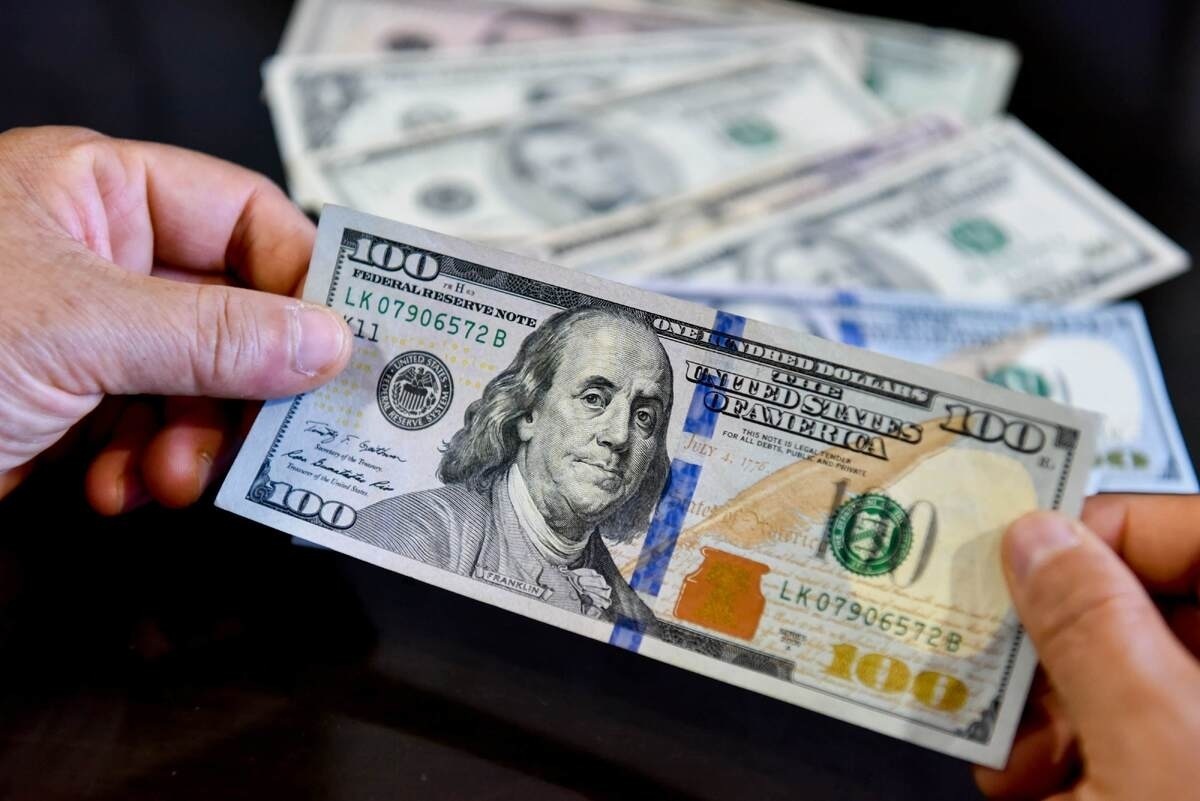 عوامل تاثیرگذار بر افزایش قیمت دلار / دولت، عامدانه، قیمت دلار را بالا می‌برد؟