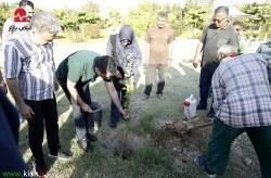 کاشت نهال به یاد شهدای جنگ رمضان