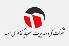 مشکلات مالی، مالیاتی هلدینگ امید در ۱۴۰۴ چه بود؟ +اینفوگرافیک