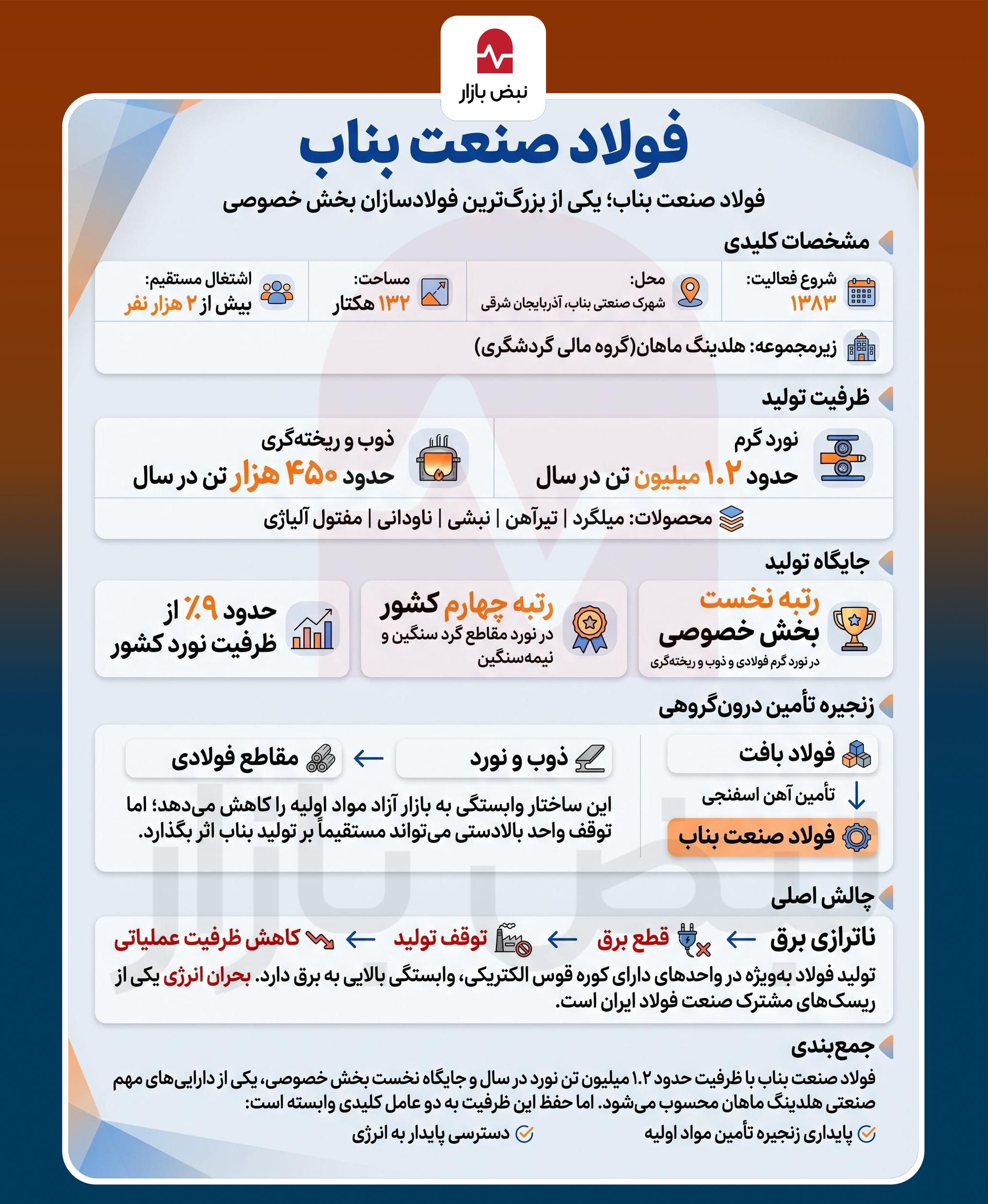 بخش خصوصی در میدان توسعه صنعت فولاد + اینفوگرافی