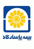 تسهیلات ۷۲۹ میلیارد تومانی بیمه پاسارگاد به کارکنان خود